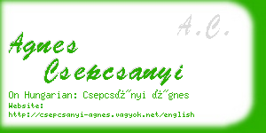 agnes csepcsanyi business card